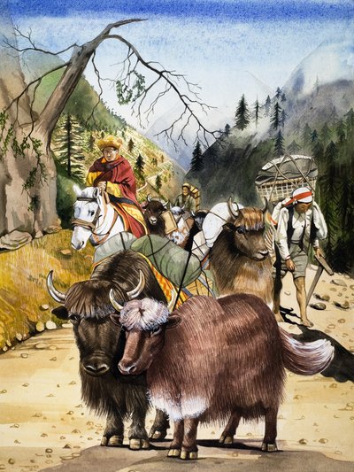 Bêtes de somme, illustration tirée de "Nature