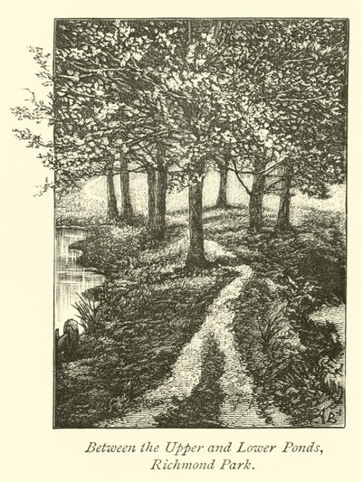 Entre les étangs supérieur et inférieur, parc de Richmond - English School