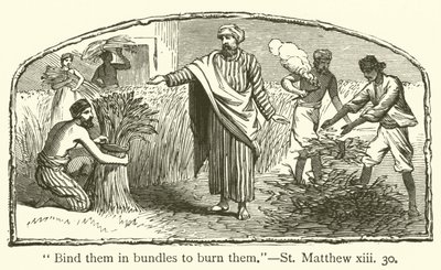"Liez-les en bottes pour les brûler", Saint Matthieu, xiii, 30 - English School