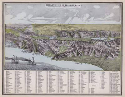 Vue d