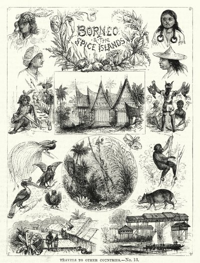 Bornéo et les îles aux épices - English School