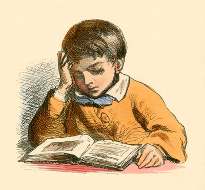 Garçon lisant - English School