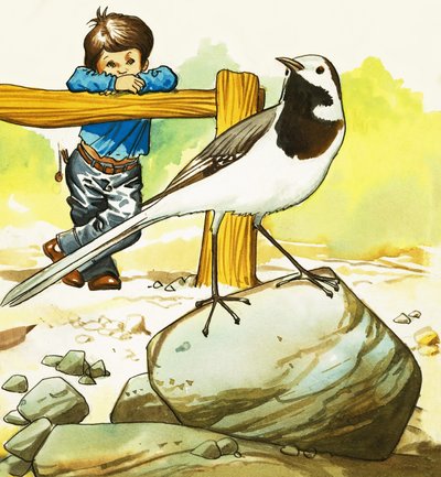 Garçon observant un oiseau non identifié - English School