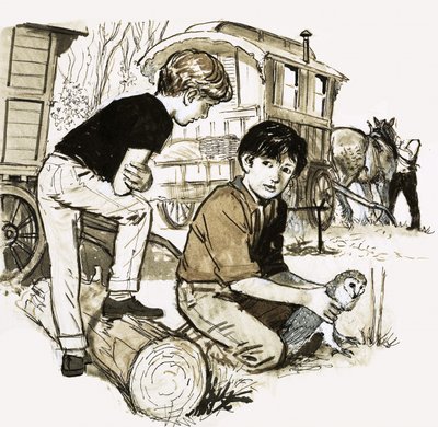 Garçons avec une chouette - English School
