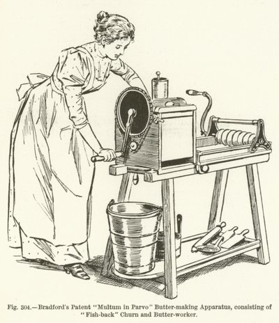 Appareil à beurre breveté Multum in Parvo de Bradford, composé de baratte à dos de poisson et de travailleuse à beurre - English School