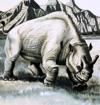 Brontotherium de l