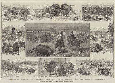Chasse au bison dans les territoires de l
