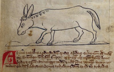 CCA-LitMs/D/10 fol. 10r Âne, du Bestiaire - English School