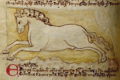 Cheval, du Bestiaire - English School