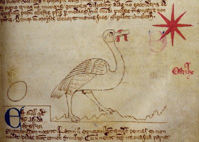 CCA-LitMs/D/10 fol. 16r Autruche, du Bestiaire - English School