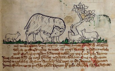 CCA-LitMs/D/10 fol. 8r Mouton, du Bestiaire - English School