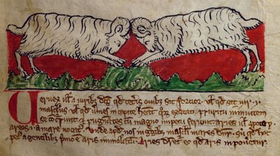 CCA-LitMs/D/10 fol. 8r Mouton, du Bestiaire - English School