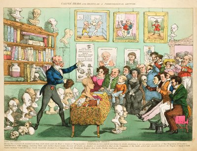 Têtes et cerveaux de veaux; ou une conférence phrénologique, 1826 - English School