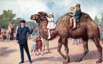 Chameau portant des enfants, zoo de Londres - English School