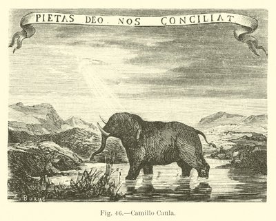 Camillo Caula - English School
