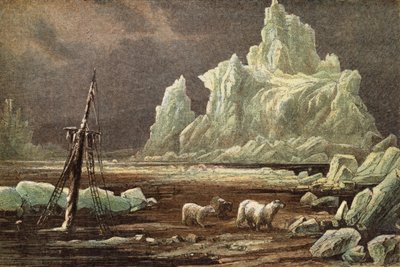 Cap Omman, Sibérie du Nord - English School
