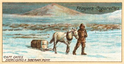 Le capitaine Oates exerçant un poney sibérien - English School
