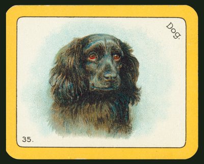 Carte du jeu de course de lévriers The Black Cat - English School