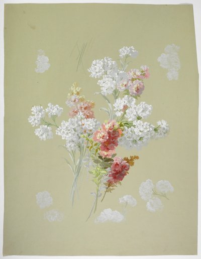 Design de tapis - English School
