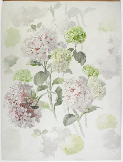 Design de tapis - English School