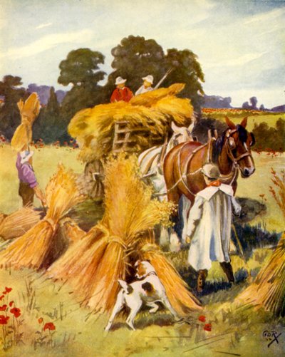 Transport du maïs - English School