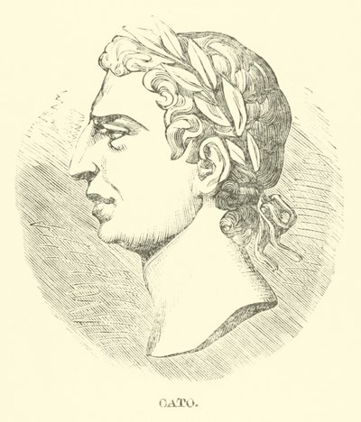 Caton - English School