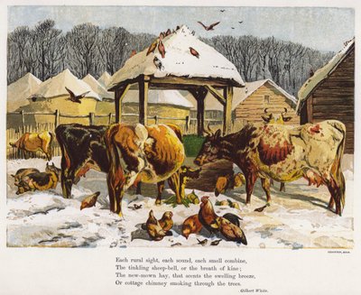 Bétail et poules dans une cour de ferme enneigée - English School