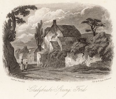 Source chalybeate Ford - English School