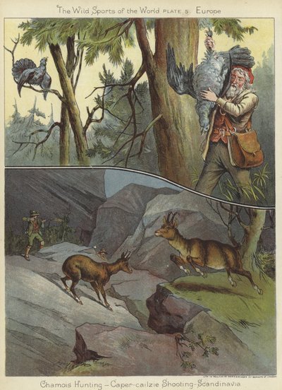 Chasse au chamois et tir au grand tétras - English School