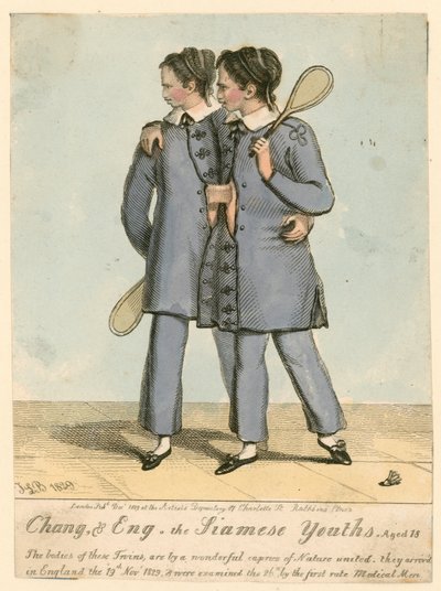 Chang et Eng, les Jeunes Siamois, âgés de 18 ans - English School