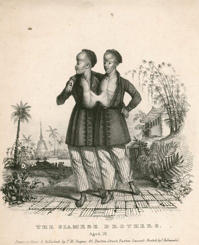 Chang et Eng, les Jeunes Siamois, âgés de 18 ans - English School