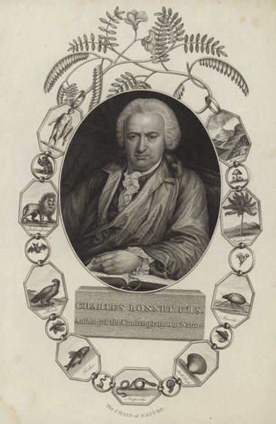 Charles Bonnet - English School