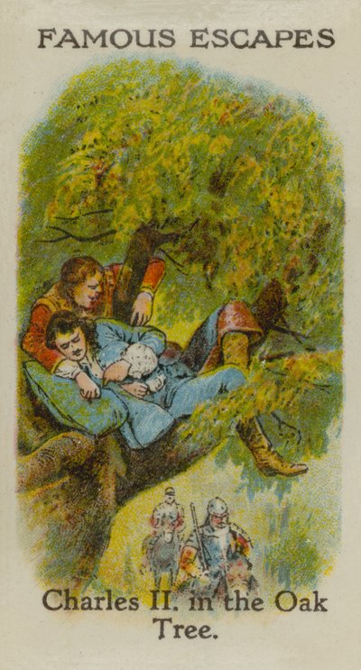 Charles II, dans le chêne - English School