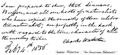 Charles Waterton (Le Naturaliste Américain) - English School