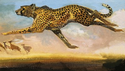 Guépard - English School