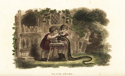 Enfants utilisant des cuillères pour frapper la tête d