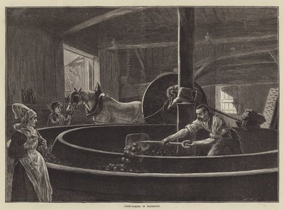 Fabrication de cidre en Normandie - English School