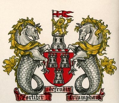 Blason, Newcastle-on-Tyne, Angleterre - English School
