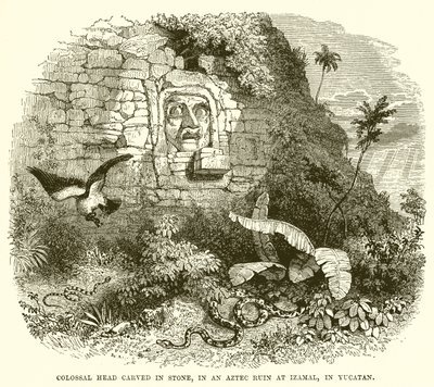 Tête colossale sculptée dans la pierre, dans une ruine aztèque à Izamal, au Yucatán - English School