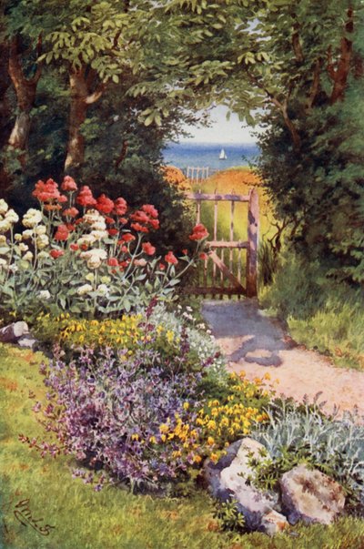Couleur dans le jardin d