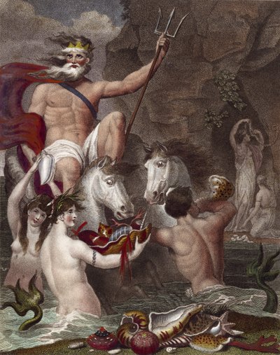 Conchyliologie - English School