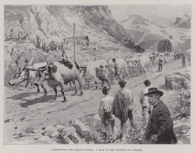 Construction du tunnel du Simplon, une équipe de bœufs apportant une chaudière - English School