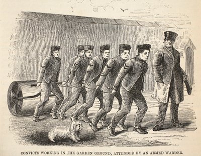 Détenus travaillant dans le jardin, surveillés par un gardien armé, illustration de The Criminal Prisons of London and Scenes from Prison Life par Henry Mayhew et John Binny, pub. 1862 - English School