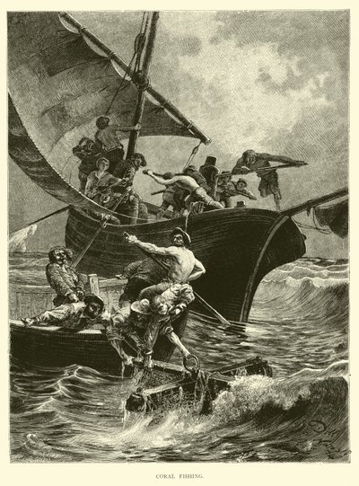 Pêche au corail - English School