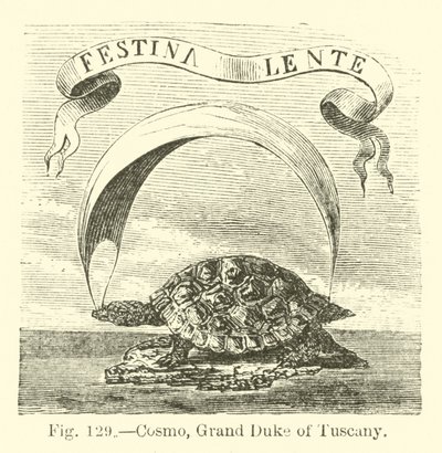 Cosme, Grand-Duc de Toscane - English School