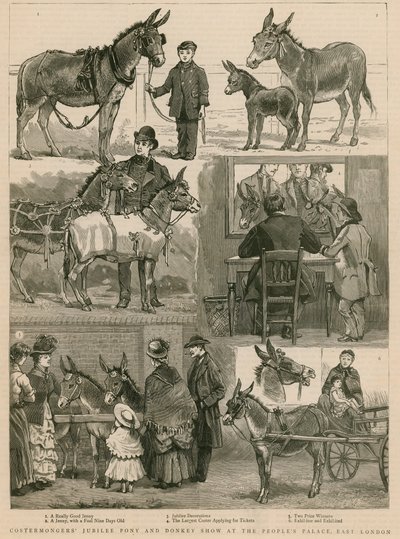 Spectacle de poneys et d