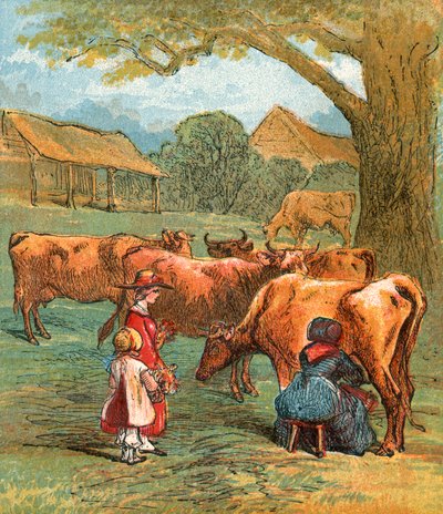 Vaches ramenées à la maison pour être traites - English School