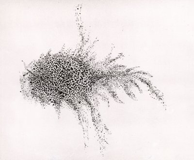 Nébuleuse du Crabe" par William Parsons, tiré de "Observations on some of the Nebulae" (Observations sur certaines nébuleuses) des "Philosophical Transactions of the Royal Society" (Transactions philosophiques de la Société royale) - English School
