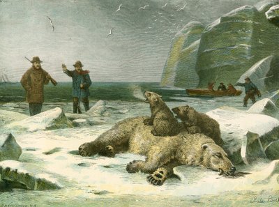 Ours polaire mort et ses petits - English School