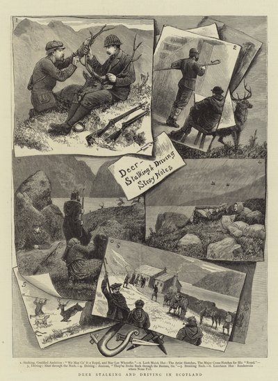 Chasse et Conduite de Cerfs en Écosse - English School